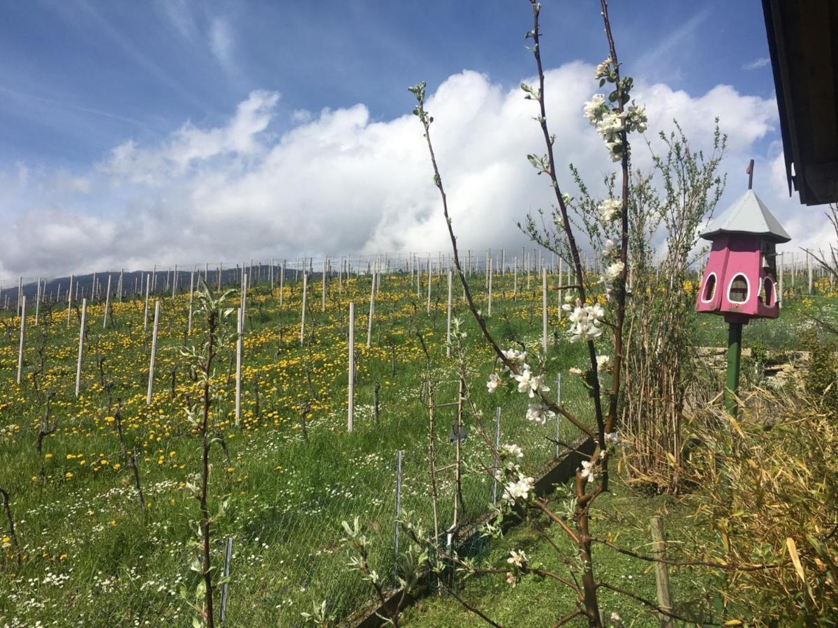 Les Rossets Διαμέρισμα Boudry Εξωτερικό φωτογραφία